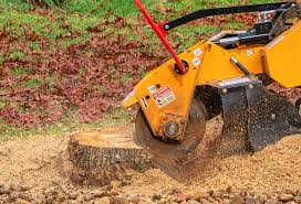 Best Lot and Land Clearing  in Crystal Lawns, IL